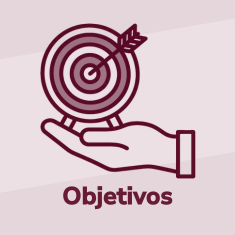 Icono objetivos