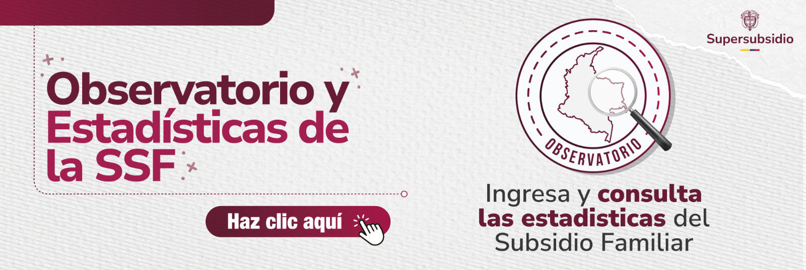 Observatorio y Estad'isticas de la SSF